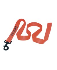 Pisteurs Laisse Plate Simple